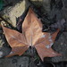 Margaret Land Photo 16
