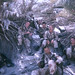 Ray Walters Photo 40