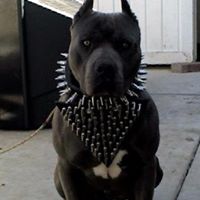 Hector Cota Photo 8