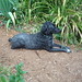 Peggy Stuart Photo 11