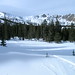 Janet Skinner Photo 19