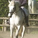 Lisa Canter Photo 14