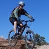 Bryan Forrest Photo 29