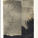 Robert Sever Photo 16