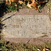 Mary Gagne Photo 26