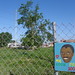 Jeffrey Cook Photo 24
