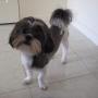 Anh Ha Photo 27