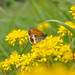 Debra Heath Photo 17