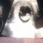 Kimberly Riddle Photo 13