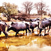 Robert Summers Photo 30