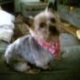 Kathleen Harmon Photo 21