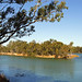 Murray Darling Photo 7