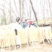 Julia Ball Photo 36