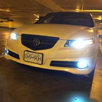 Alan Phung Photo 14
