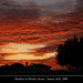 Victoria Strom Photo 18