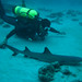 Ronald Downing Photo 14