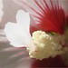 Sue Conway Photo 33