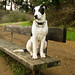Janet Oliver Photo 48