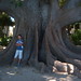 Andres Apodaca Photo 4