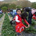 Ting Ho Photo 19