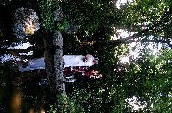 Nancy Ryan Photo 11
