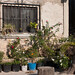 Carmen Morello Photo 9