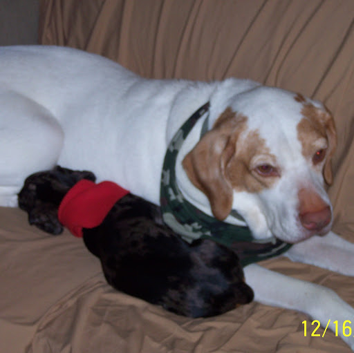 Bobbie Jackson Photo 14