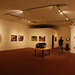 Thomas Brown Photo 8