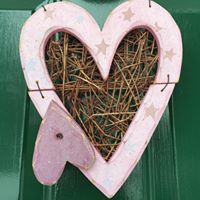 Debra Gordon Photo 38