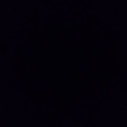 Vincent Lavolpe Photo 8