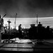 Stephanie Lyon Photo 9