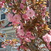 Kieu Trinh Photo 25