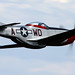 Martin Stang Photo 11