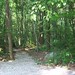 Thomas Walker Photo 27
