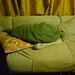 Bonnie Downs Photo 15