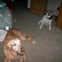 Dawn Erickson Photo 31