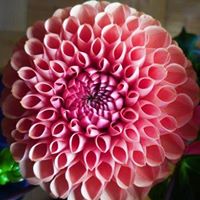 Christine Gerber Photo 32