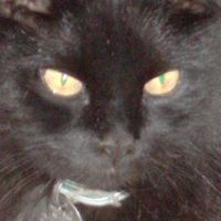 Christine Perron Photo 9