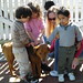 Susan Lawrence Photo 23