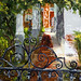 Nancy Beck Photo 32