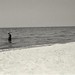 Donald Applegate Photo 17