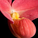 Julie Fritz Photo 22