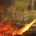 Joshua Robbins Photo 10