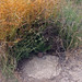 David Macpherson Photo 29