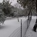 Vicki Hill Photo 7