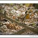 Robin Fletcher Photo 41