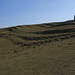 Catherine Harvey Photo 26