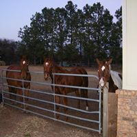 Janet Richter Photo 31