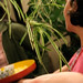 Renee Harris Photo 35