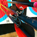 Robin Hoyt Photo 18